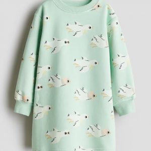 Printed Sweatshirt Dress - Mint/Birds
