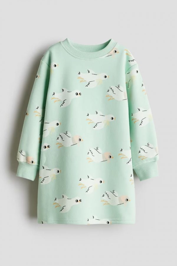 Printed Sweatshirt Dress - Mint/Birds