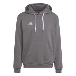 Adidas Entrada 22 Hoodie